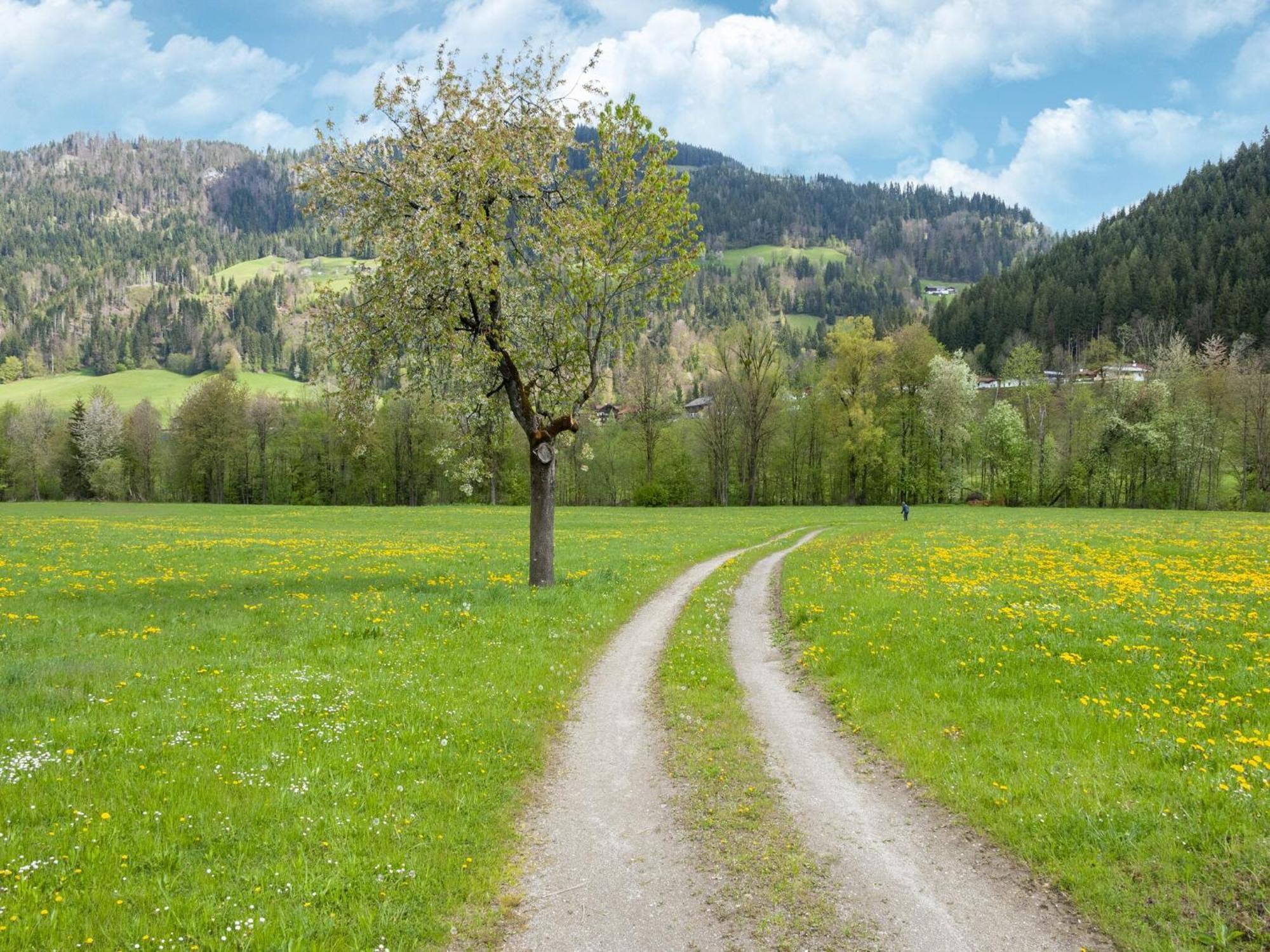 Property In Kirchbichl Buitenkant foto